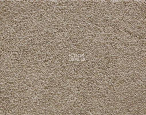 Ковролин Radici Lord Cardamomo 327E фото 1 | FLOORDEALER